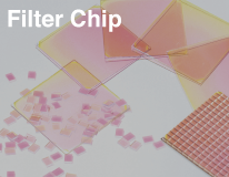 Filter Chip